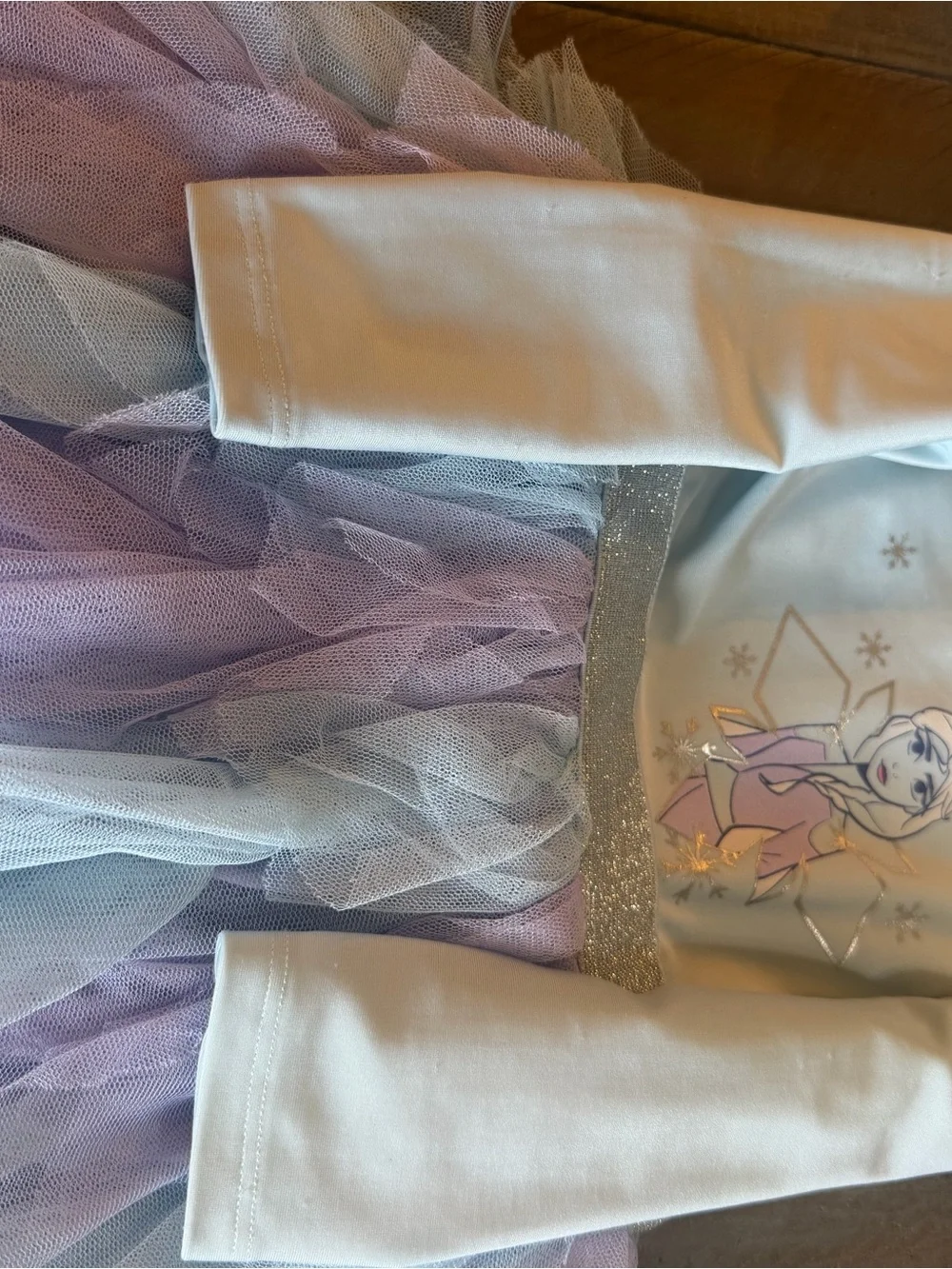 Disney Elsa Light Blue and Lavender Tulle Dress